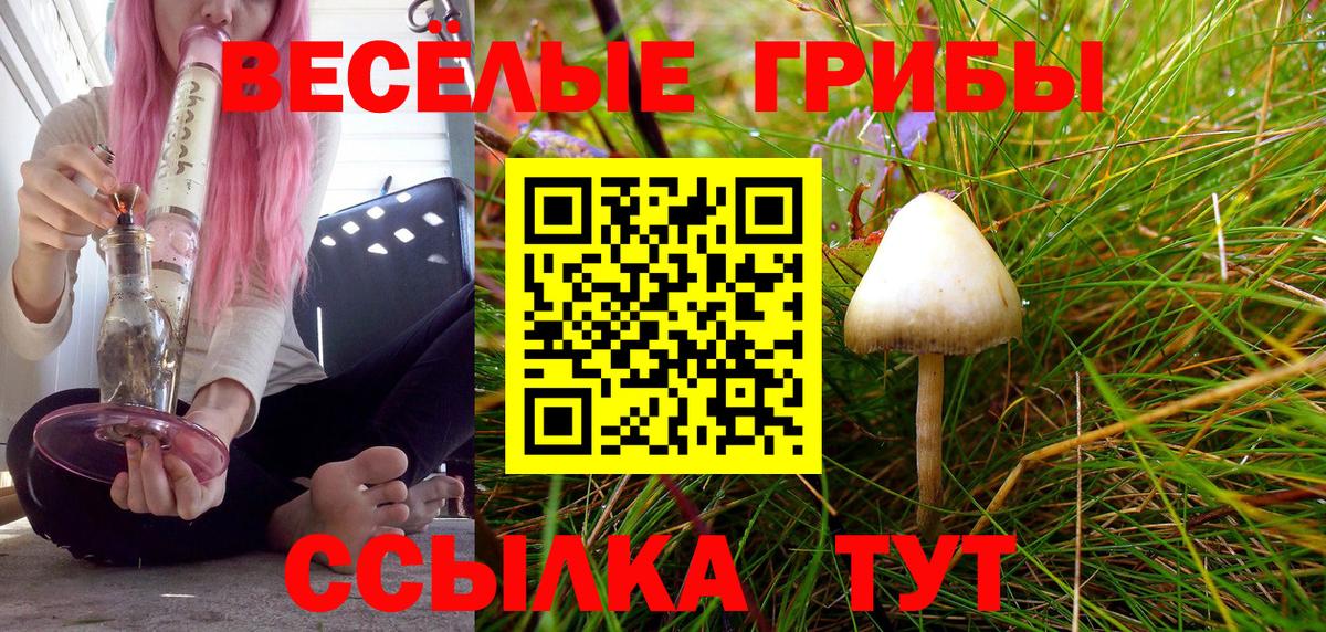 Галлюциногенные грибы ЛСД  Вход с VPN  наркошоп  Фрязино 